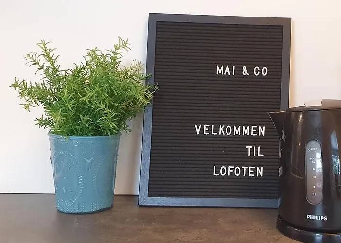 Lofoten 아파트 레크네스