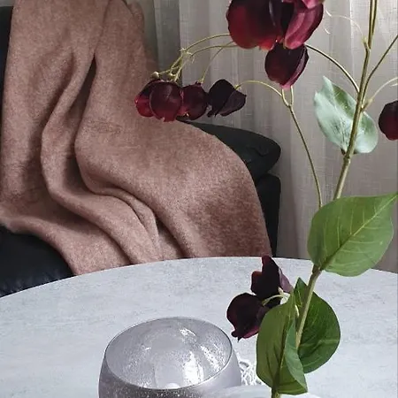 Lofoten Daire Leknes